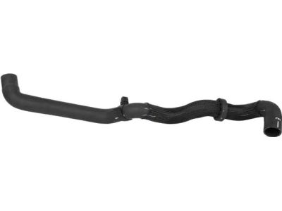 Ford GN1Z-8286-AA Lower Hose