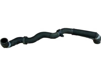 Ford GN1Z-8286-AA Lower Hose