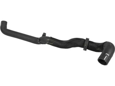 Ford GN1Z-8286-AA Lower Hose