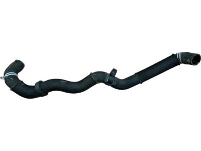 Ford GN1Z-8286-AA Lower Hose