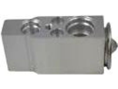 Ford 7L1Z-19849-C Expansion Valve