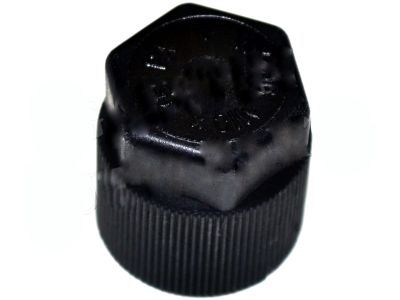 Ford F7RZ-19D702-AA AC Tube Cap