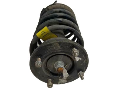 Ford 9R3Z-18124-G Strut