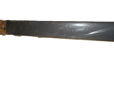 Ford 4F2Z-1725557-CAPTM Body Side Molding