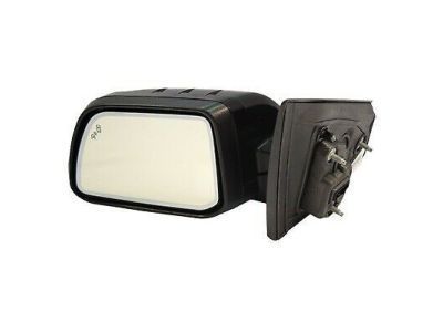 Ford CA1Z-17683-BAPTM Mirror