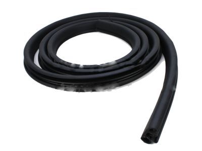 Ford 8L2Z-78253A10-A Weatherstrip On Body