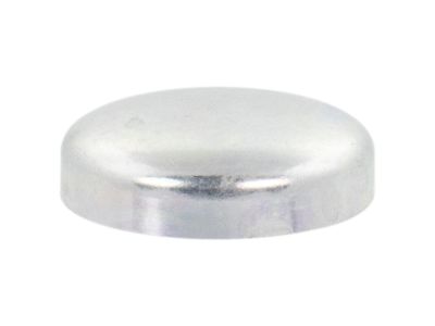 Ford BC3Z-6026-A RTV Sealer Plug