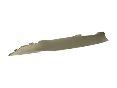 Ford BL1Z-7803599-AA Weatherstrip Pillar Trim