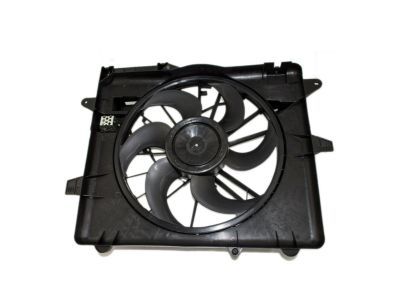Ford DR3Z-8C607-C Fan Module