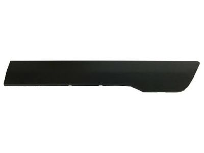 Ford DT1Z-6129077-DB Body Side Molding