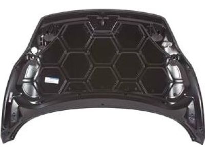 Ford AE8Z-16612-A Hood