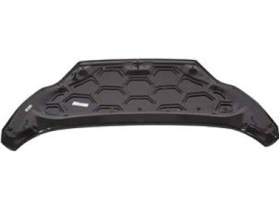 Ford AE8Z-16612-A Hood