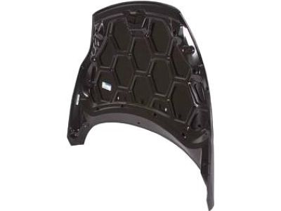 Ford AE8Z-16612-A Hood