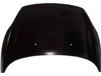 Ford AE8Z-16612-A Hood