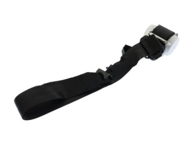 Ford DT1Z-17613B85-AA Lap & Shoulder Belt