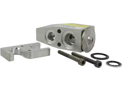 Ford HL3Z-19849-C Expansion Valve