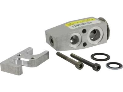 Ford HL3Z-19849-C Expansion Valve