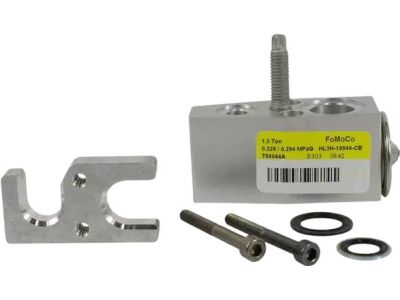 Ford HL3Z-19849-C Expansion Valve