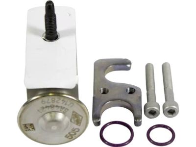 Ford AV6Z-19849-D Expansion Valve
