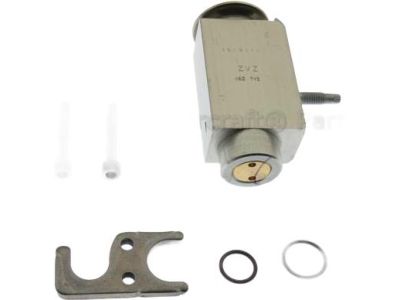 Ford AV6Z-19849-D Expansion Valve