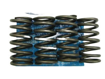 Ford F1AZ-6513-A Valve Springs