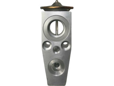 Ford AR3Z-19849-A Valve Assy - Evaporator Expansion