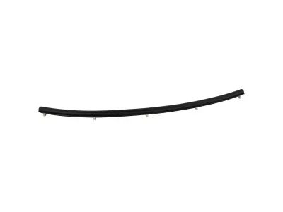 Ford M1PZ-16A238-A WEATHERSTRIP
