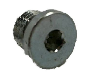 Ford F81Z-9077-AA Plug