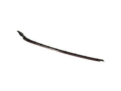 Ford AM5Z-5803178-A Pillar Molding Retainer Strip