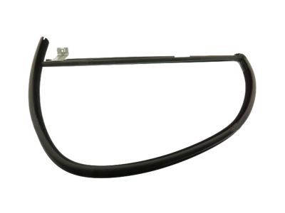 Ford 8L5Z-1021597-A Run Channel