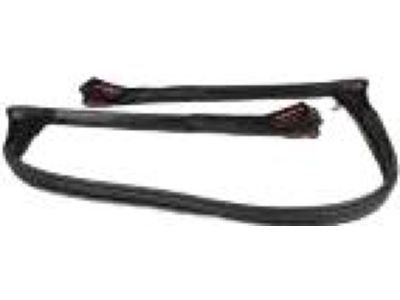 Ford FR3Z-7603110-C Front Weatherstrip
