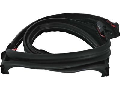Ford FR3Z-7603110-C Front Weatherstrip
