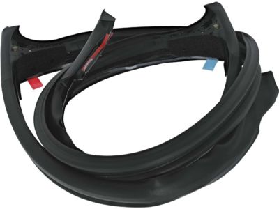 Ford FR3Z-7603110-C Front Weatherstrip
