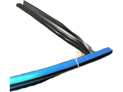 Ford HP5Z-5421596-A Run Channel