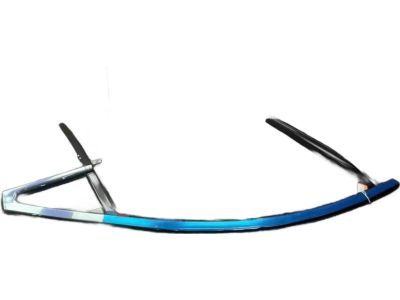 Ford HP5Z-5421596-A Run Channel