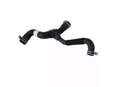 Ford 3S4Z-8286-BC Lower Hose