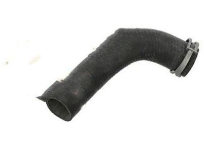 Ford 1F1Z-8286-AB Lower Hose