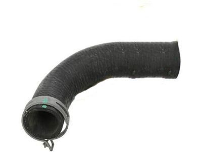 Ford 1F1Z-8286-AB Lower Hose