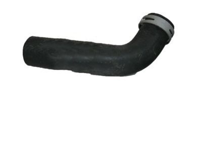 Ford 1F1Z-8286-AB Lower Hose