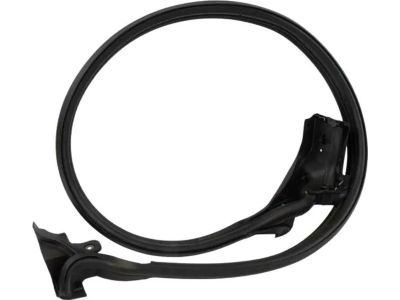 Ford EK4Z-1525325-H Door Weatherstrip