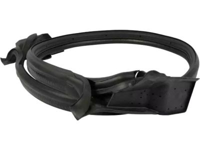 Ford EK4Z-1525325-H Door Weatherstrip