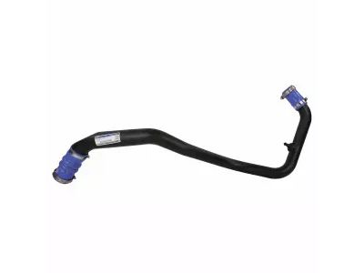 Ford JL3Z-6C646-C Lower Hose