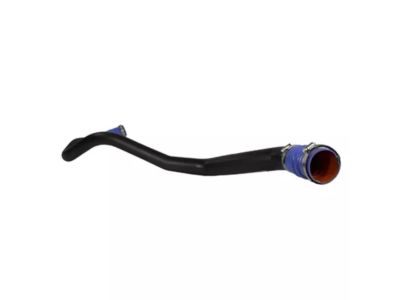 Ford JL3Z-6C646-C Lower Hose