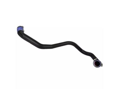 Ford JL3Z-6C646-C Lower Hose