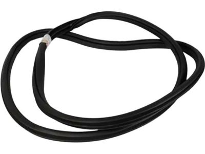 Ford HL3Z-16253A10-A Weatherstrip Assembly - Door Opening