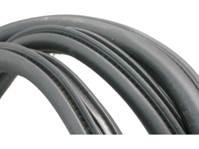 Ford HL3Z-16253A10-A Weatherstrip Assembly - Door Opening
