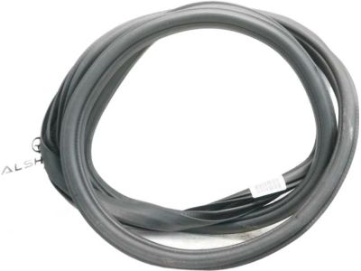 Ford HL3Z-16253A10-A Weatherstrip Assembly - Door Opening