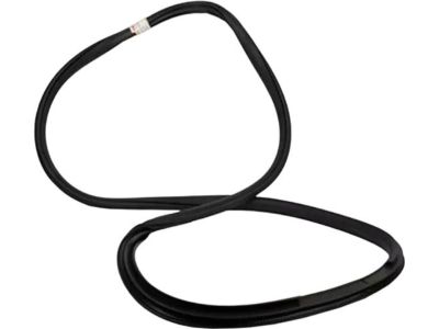 Ford HL3Z-16253A10-A Weatherstrip Assembly - Door Opening