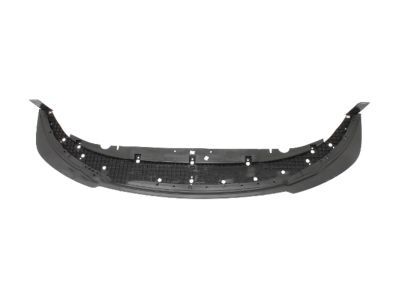 Ford DR3Z-17626-BA Valance Panel