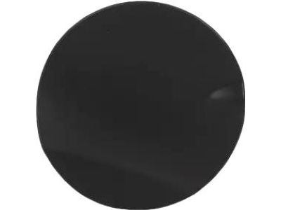 Ford CN1Z-74405A26-A Fuel Door